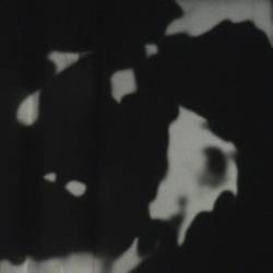 Viranesir : Shoot at Mom's Corpse